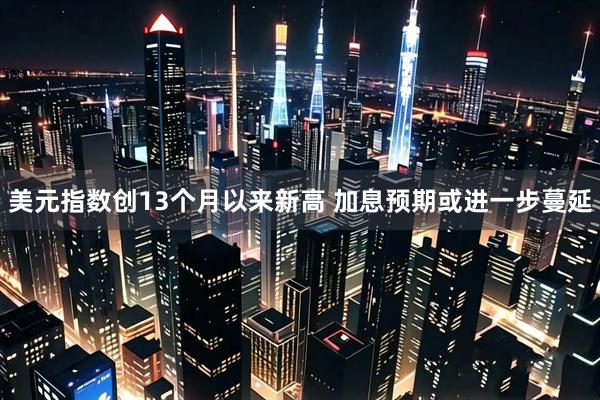美元指数创13个月以来新高 加息预期或进一步蔓延