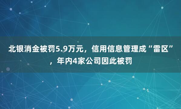 北银消金被罚5.9万元，信用信息管理成“雷区”，年内4家公司因此被罚